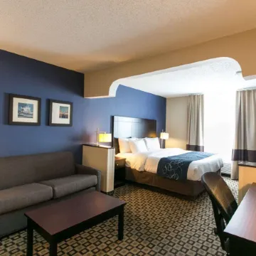 Comfort Suites Benton Harbor - St. Joseph