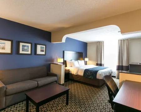 Comfort Suites Benton Harbor - St. Joseph Отели в г. Бентон Хайтс