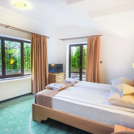 Hotel Casa Viorel