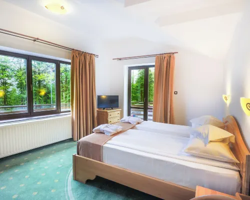 Hotel Casa Viorel Hotels near Ruia