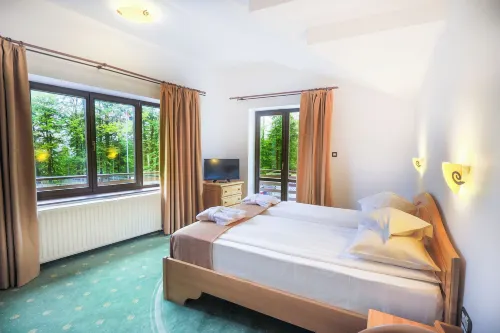 Hotel Casa Viorel