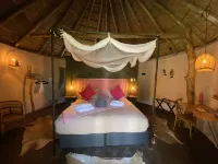 Addo African Home Hotels in Addo