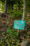 The Dax Lodge and Cabins - 2-Star