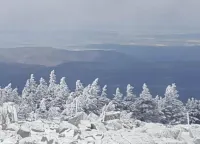 Gartenwohnung in Hasselfelde