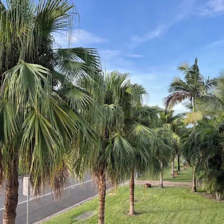Sans Souci Apartments