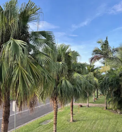 Sans Souci Apartments