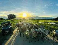 Elephant Lodge فنادق في Babati