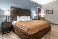 Quality Inn & Suites - Parkplatz