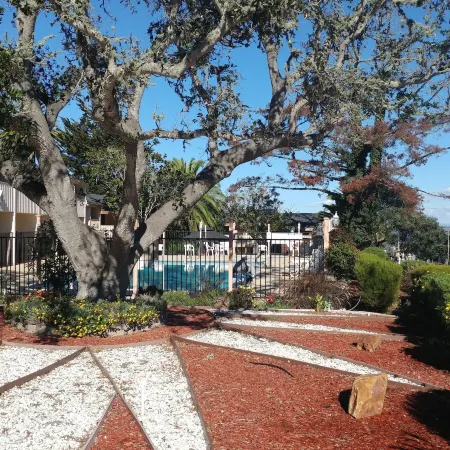 Americas Best Value Presidents Inn on Munras