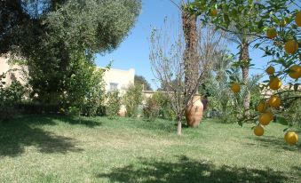 Hotel Dar Zitoune Taroudant