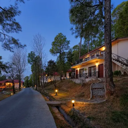 Arcadian Blue Pines