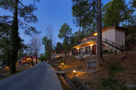 Arcadian Blue Pines