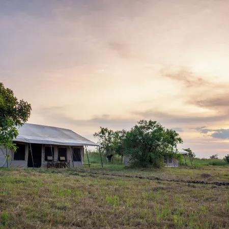Gnu Mara River Camp