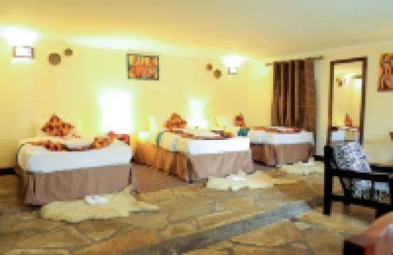 Davinci Gorilla Lodge