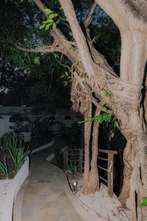 Eliana Resort and Spa