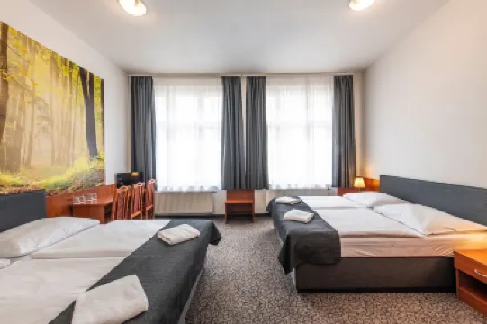 ホテル ズラタ ヴァハ Hugo chodi bos - Czech made toys and kids accessories周辺のホテル