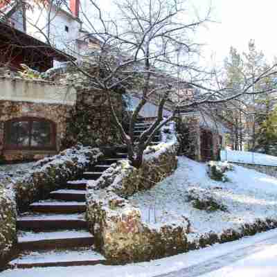 Hotel Orso Bianco Hotel Exterior