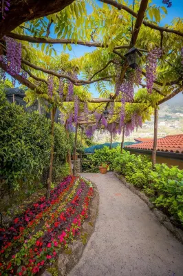 Il Roseto B&B