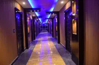 Dolphin Chocolate Inn Hotels in Nadia