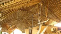 Ulala Lodge - bar