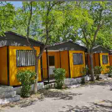 Bungalows Alpha Hotel Exterior