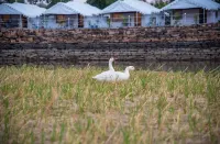 Padmavati Lake Resort - 2-Star