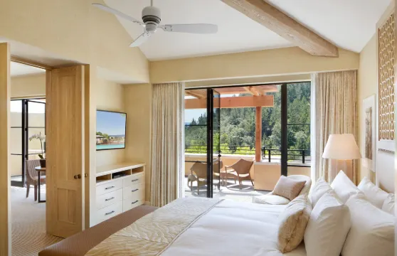 阿爾貝格蘇蕾爾旅館