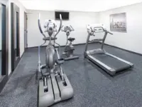 Wingate by Wyndham Detroit Metro Airport - ジム