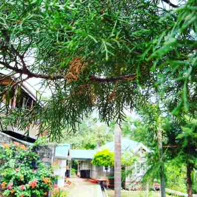 Kallycave Eco Lodge Hotel Exterior