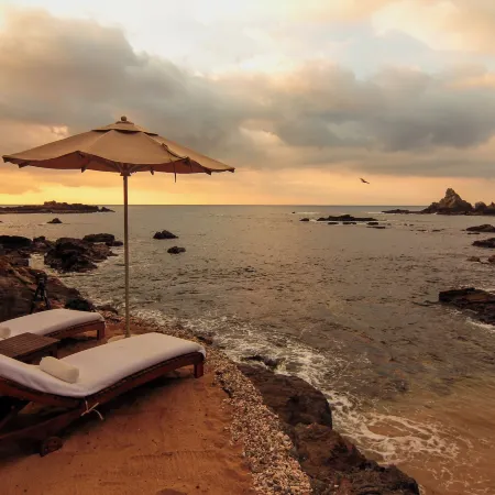 Zoa Hotel
