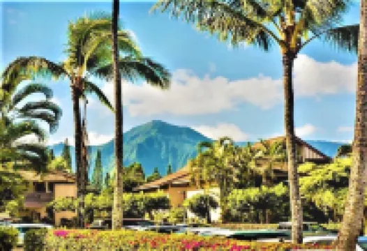 Chic Aloha Studio in Superb Princeville, w/AC & WiFi Explore Beautiful Napali!