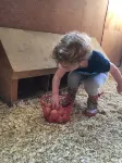 Fat Sheep Farm & Cabins