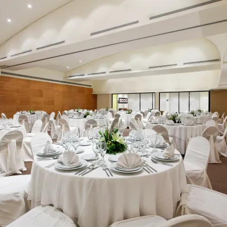 Crowne Plaza VILLAHERMOSA by IHG