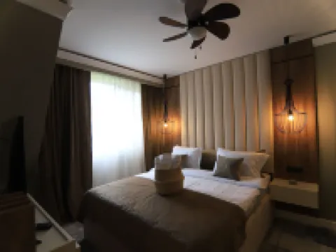 Elexus Boutique Hotéis em Predeal