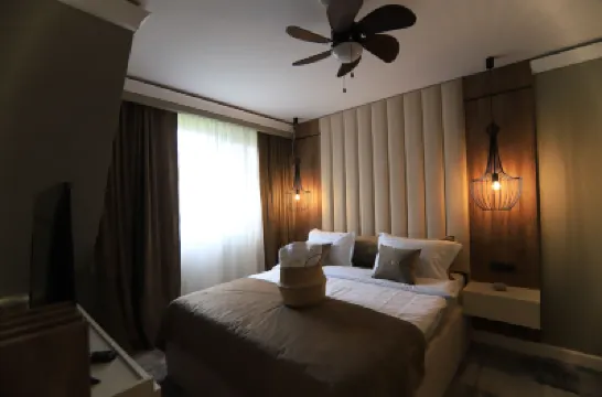 Elexus Boutique Hotels in 