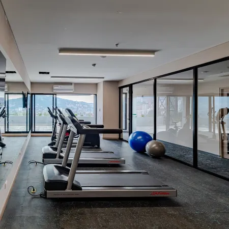 York Medellin, Curio Collection by Hilton