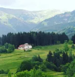 Tugra Butik Hotel - Pet friendly