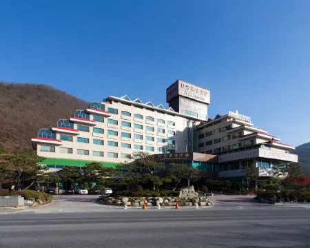 Danyang Tourist Hotel Edelweiss Hotels in Danyang-gun