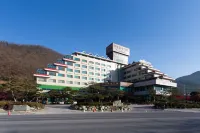 Danyang Tourist Hotel Edelweiss Отели в г. 