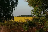 Lilla Huset på Slätten B&B Hotels in Flyinge
