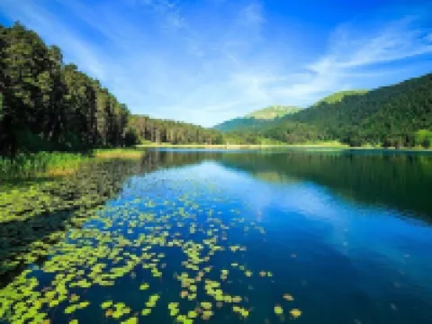 Bolu City Otel Hotels in Bolu