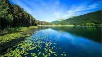 Bolu City Otel Hotels in Bolu