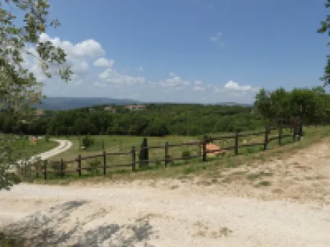 Scappo in Umbria, le Salce