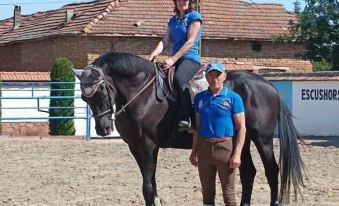 ESCUS HORSES