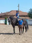 ESCUS HORSES Hotels near Улпия Ескус