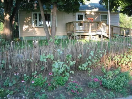 'A Home Away From Home' For 2 To 7  People  No Smoking No Pets Отели в г. Прейри-дю-Чиен