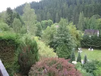 Vacation apartment with a great view Hotels in Wildemann