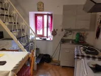 Independent apartment between Amatrice and Leonessa, surrounded by nature.