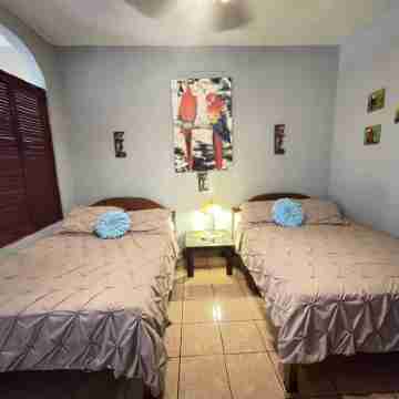 Gorgeous Views of Pacific and Rainforest Rooms