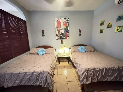 Gorgeous Views of Pacific and Rainforest